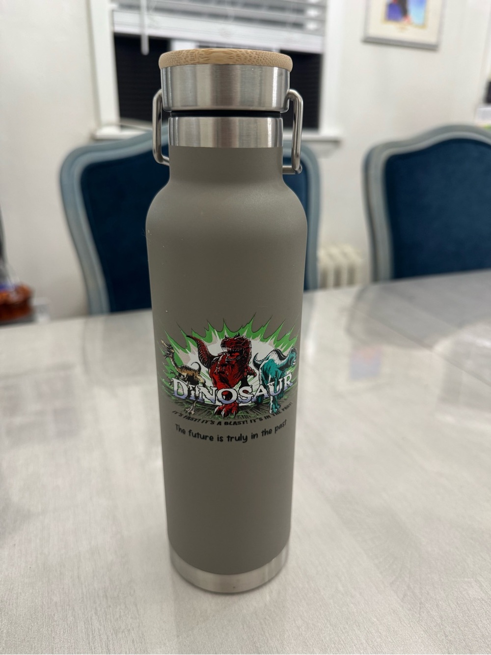NWOT Walt Disney World Animal Kingdom Dinosaur Closing Merch Water Bottle